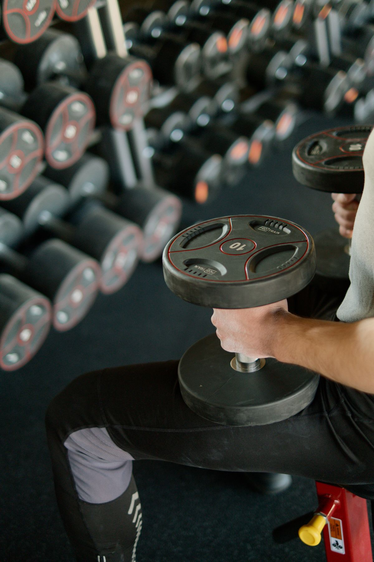 Squat : guide technique, muscles et programme complet