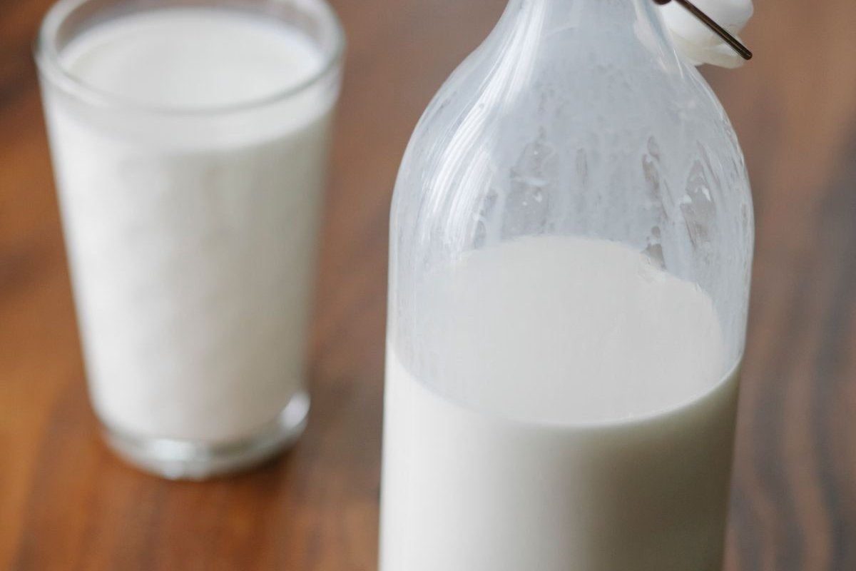Whey protéine : le guide pour bien la choisir